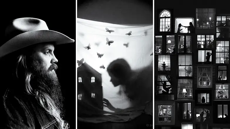 Denali Vineyard collage