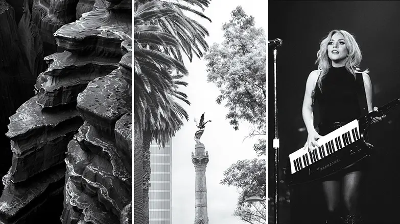 Stagecoach Vineyard collage